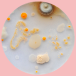 BioArt Quick &<br> (not) Dirty